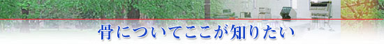 骨についてここが知りたい