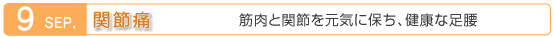 9月　関節痛　筋肉と関節を元気に保ち、健康な足腰