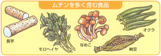 ムチンを多く含む食品