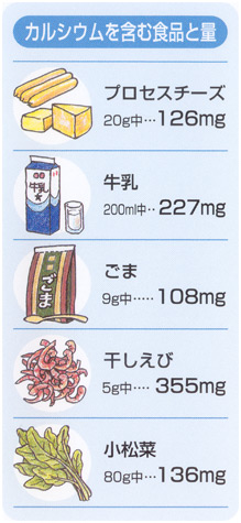 カルシウムを含む食品と量