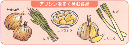 アリシンを多く含む食品