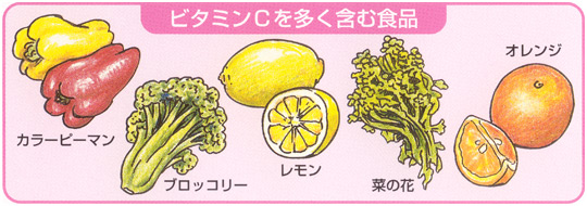 ビタミンCを多く含む食品