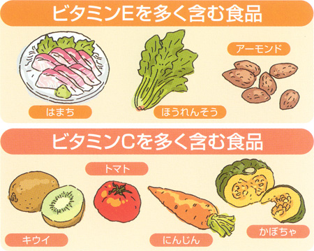 ビタミンEを多く含む食品　ビタミンCを多く含む食品