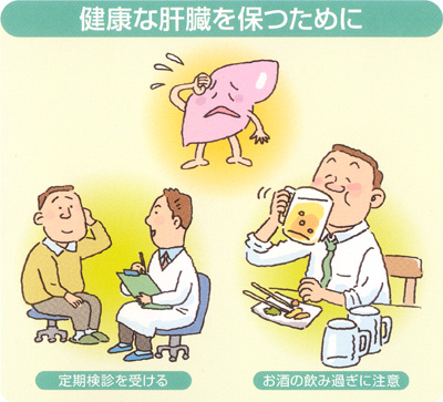健康な肝臓を保つために