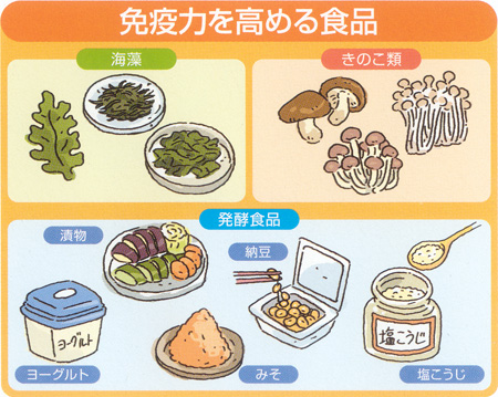 免疫力を高める食品