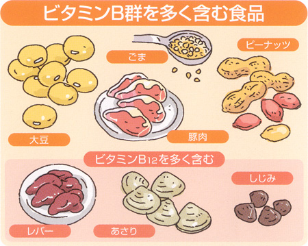 ビタミンB群を多く含む食品