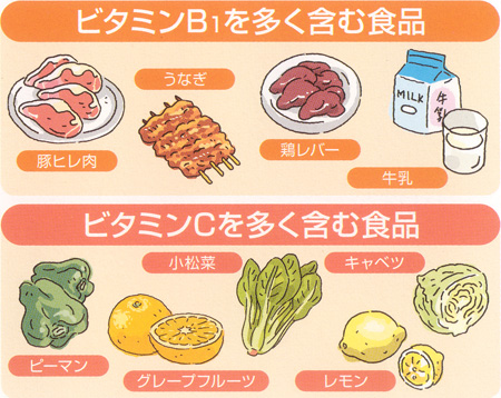 ビタミンB1を多く含む食品　ビタミンCを多く含む食品