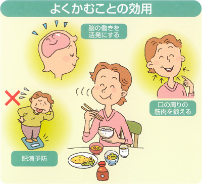 よくかむことの効用